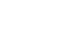 Indian River County Supervisor of Elections Logo FINAL-04